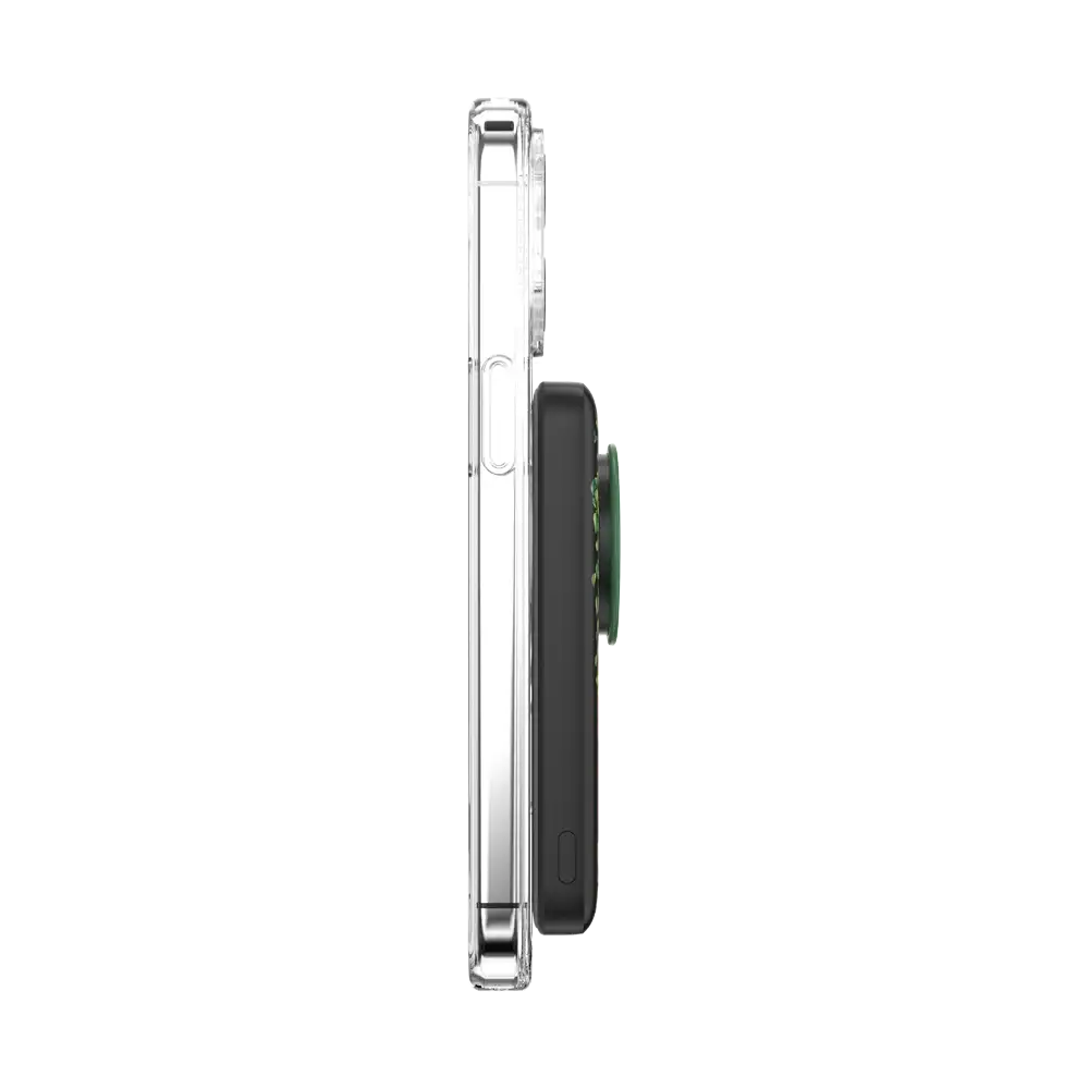 Curled Up With A Good Book — MagSafe PowerPack