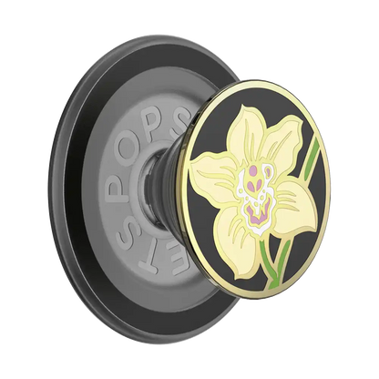 Beetle Mania — MagSafe PopGrip