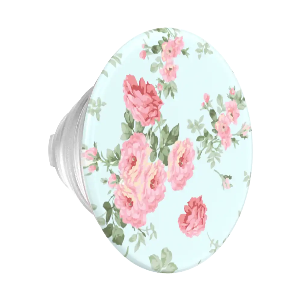 BonBon Daisy Bluebell — MagSafe PopGrip