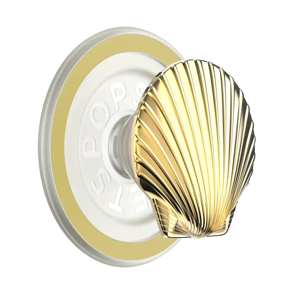 Enamel Silver Dollar — MagSafe PopGrip