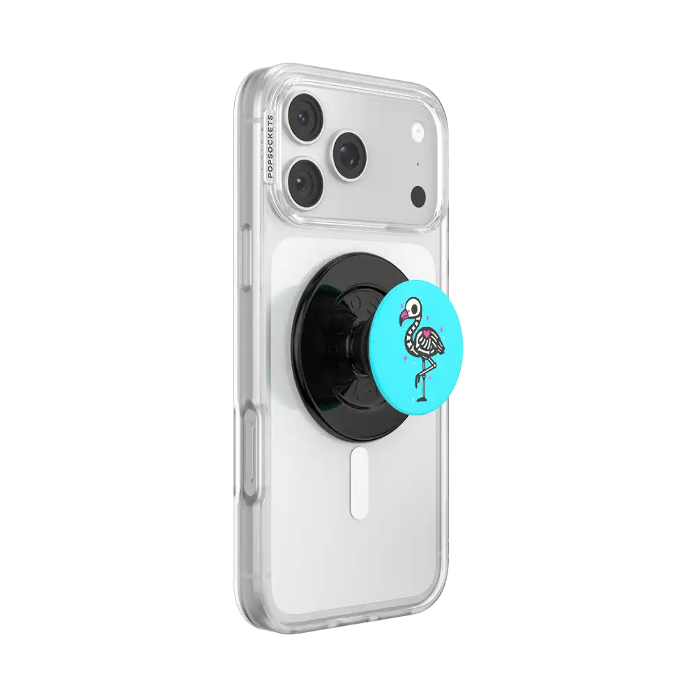 Balloon Dog X-ray — MagSafe PopGrip