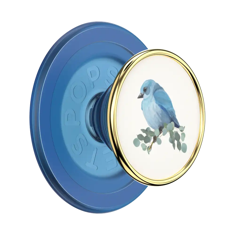 Enamel Dragon — MagSafe PopGrip